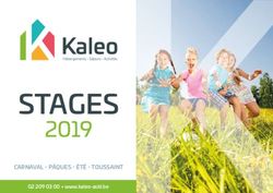 STAGES 2019 CARNAVAL - PÂQUES - ÉTÉ - TOUSSAINT - Kaleo ASBL