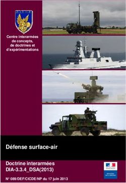 D&eacute;fense surface-air Doctrine interarm&eacute;es - DIA-3.3.4_DSA(2013) - JAQUETTE - IRSEM