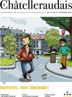 INCIVILIT&Eacute;S : TOUS CONCERN&Eacute;S ! - Ville de Chatellerault.fr