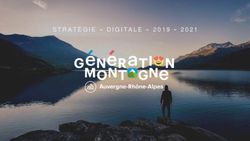 STRAT&Eacute;GIE " DIGITALE " 2019 2021 - Tourisme en Auvergne-Rh&ocirc;ne-Alpes