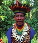 AMAZONIE NOS CROISIÈRES - AU COEUR DE LA FORÊT EN - Grands Espaces