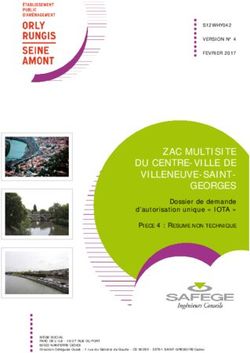 ZAC MULTISITE DU CENTRE-VILLE DE VILLENEUVE-SAINT-GEORGES