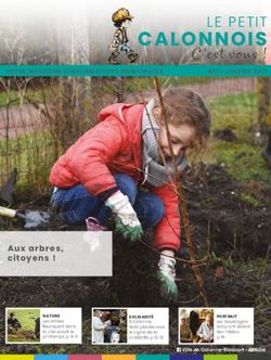 CALONNOIS LE PETIT - Calonne-Ricouart