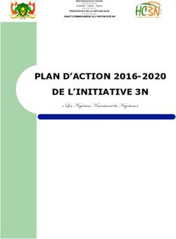 DE L'INITIATIVE 3N PLAN D'ACTION 2016-2020 - " Les Nigériens Nourrissent les Nigériens "