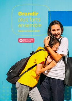 Grandir plus forts ensemble - Rapport d'impact 2020 - SOS Villages d'Enfants Belgique