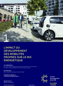 L'IMPACT DU DÉVELOPPEMENT DES MOBILITÉS PROPRES SUR LE MIX ÉNERGÉTIQUE - Comité de ...