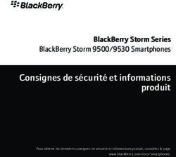 CONSIGNES DE SÉCURITÉ ET INFORMATIONS PRODUIT - BLACKBERRY STORM SERIES BLACKBERRY STORM 9500/9530 SMARTPHONES