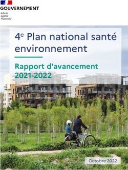 Environnement 4e Plan national santé - Rapport d'avancement 2021-2022