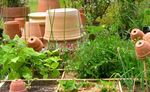 Artisans du Végétal Plantes - Horticulteur et pépiniériste à ...