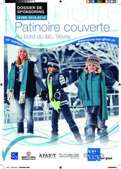 Patinoire couverte Au bord du lac, Vevey - DOSSIER DE SPONSORING - Vevey sur glace