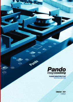 PLAQUES INDUCTION ET GAZ INDUCTION & GAS HOBS - Collection - 2021 Catalogue - Pando