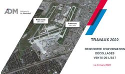 TRAVAUX 2022 RENCONTRE D'INFORMATION D&Eacute;COLLAGES VENTS DE L'EST - Le 9 mars 2022 - A&eacute;roports de Montr&eacute;al