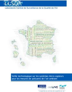Veille technologique sur les systèmes micro-capteurs pour les mesures de polluants de l'air ambiant - LCSQA