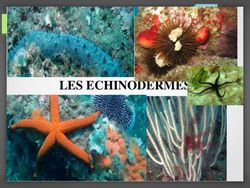 LES ECHINODERMES - F&eacute;vrier 2020