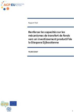 Renforcer les capacités sur les mécanismes de transfert de fonds vers un investissement productif de la Diaspora Djiboutienne - TA/057/2017