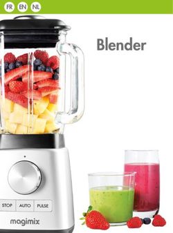 Blender FR EN NL - Magimix