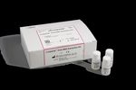 SOLUTION SARS-COV-2 LAMP - HUMAN DIAGNOSTICS