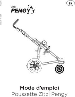 Mode d'emploi Poussette Zitzi Pengy - FR