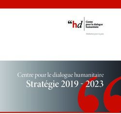 Stratégie 2019 2023 - Centre pour le dialogue humanitaire - Centre for Humanitarian Dialogue
