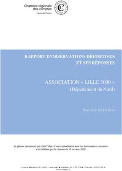 ASSOCIATION " LILLE 3000 " - RAPPORT D'OBSERVATIONS DÉFINITIVES ET SES RÉPONSES - Cour des comptes