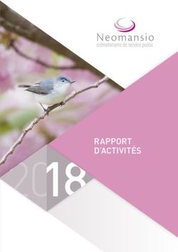 RAPPORT D'ACTIVITÉS - Plombières