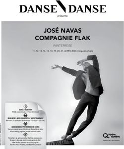 JOS&Eacute; NAVAS COMPAGNIE FLAK - WINTERREISE - Danse Danse