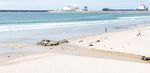 Pour la qualit&eacute; des eaux de baignade et r&eacute;cr&eacute;atives en Europe - #HealthyWaters - Surfrider Foundation Europe
