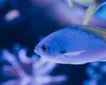 Pour la qualit&eacute; des eaux de baignade et r&eacute;cr&eacute;atives en Europe - #HealthyWaters - Surfrider Foundation Europe