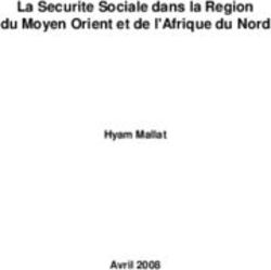 La Securite Sociale dans la Region du Moyen Orient et de l'Afrique du Nord - Hyam Mallat Avril 2008
