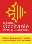 AVIS DU CESER SUR LE BUDGET PRIMITIF 2022 DE LA RÉGION OCCITANIE / PYRÉNÉES-MÉDITERRANÉE - CESER Occitanie