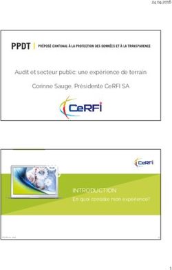 INTRODUCTION En quoi consiste mon expérience? - Audit et secteur public: une expérience de terrain