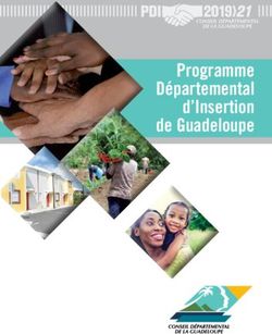Programme Départemental d'Insertion de Guadeloupe