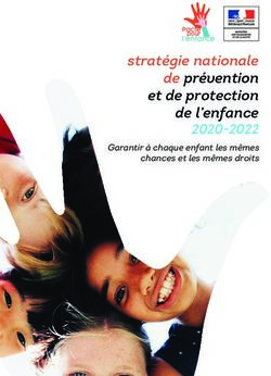Stratégie nationale de prévention et de protection de l'enfance - 2020-2022 Garantir à chaque enfant les mêmes chances et les mêmes droits