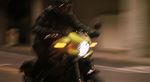 GAMME 2020 HARLEY-DAVIDSON - Harley-Davidson | Brochure