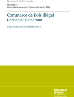 Commerce de Bois Illégal - L'Action au Cameroun Document de Recherche