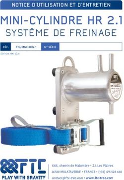 MINI-CYLINDRE HR 2.1 SYST&Egrave;ME DE FREINAGE - NOTICE D'UTILISATION ET D'ENTRETIEN - hevea elagage