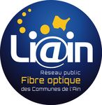 REVUE DE PRESSE Communication Electronique - Sommaire - RESO-LIAin