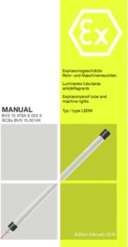MANUAL BVS 15 ATEX E 003 X IECEx BVS 15.0014X - Explosionsgeschützte Rohr- und Maschinenleuchten Luminaires tubulaires antidéflagrants ...