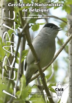 Périodique trimestriel n 2/2017 - 2e trimestre Bureau de dépôt: 5600 Philippeville 1 - Société royale association sans but lucratif - Cercles des ...