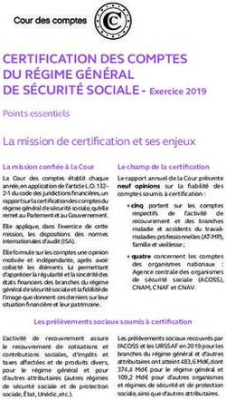 CERTIFICATION DES COMPTES DU RÉGIME GÉNÉRAL - DE SÉCURITÉ SOCIALE - Exercice 2019 Points essentiels