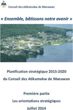 Planification stratégique 2015-2020 du Conseil des Atikamekw de Manawan Première partie Les orientations stratégiques Juillet 2014 - Conseil des ...
