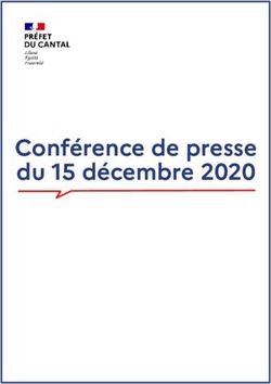 Conf&eacute;rence de presse du 15 d&eacute;cembre 2020 - cantal.gouv.fr
