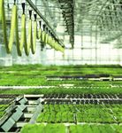 COOP - L'ERP d&eacute;di&eacute; aux coop&eacute;ratives agricoles - TVH Consulting
