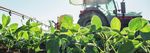 COOP - L'ERP d&eacute;di&eacute; aux coop&eacute;ratives agricoles - TVH Consulting