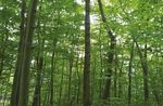 Le Concours de photos de l'AFVSM est de retour ! L'Acad&eacute;mie les Estacades, une &eacute;cole o&ugrave; les &eacute;l&egrave;ves s'enracinent dans la culture foresti&egrave;re !