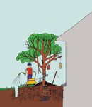 Le Concours de photos de l'AFVSM est de retour ! L'Acad&eacute;mie les Estacades, une &eacute;cole o&ugrave; les &eacute;l&egrave;ves s'enracinent dans la culture foresti&egrave;re !