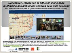 Conception, réalisation et diffusion d'une carte multimédia des ambiances sonores de la ville de Miami - HAL-SHS