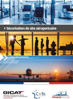 Sécurisation de site aéroportuaire - Gicat
