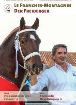 Le Franches-Montagnes Der Freiberger - Une passionnante volée d'étalons 04 ÉLEVAGE - Schweizerischer Freibergerverband
