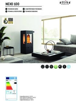 NEXO 100 - Sambiagio-Style